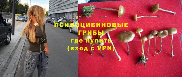 СК Абаза