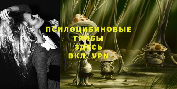 дмт Абдулино
